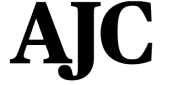 AJC-logo-2